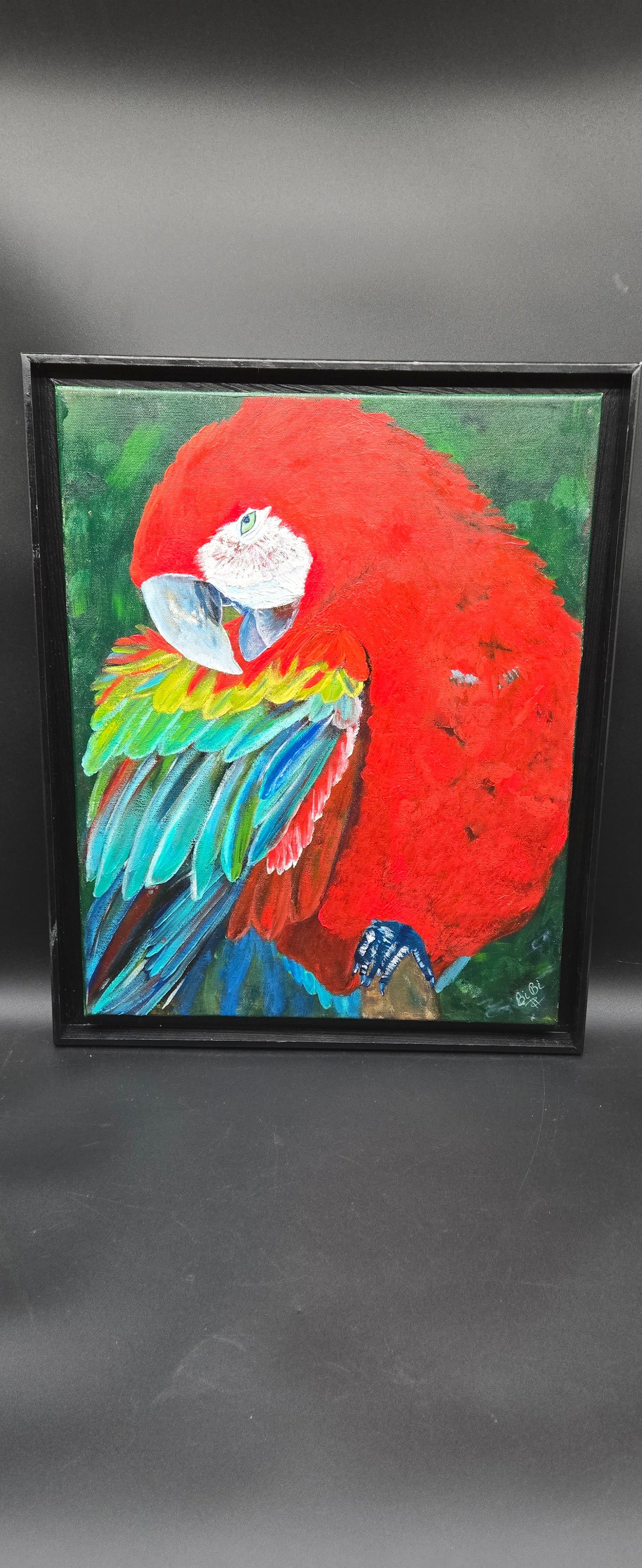 Macaw oil on canvas- FG006