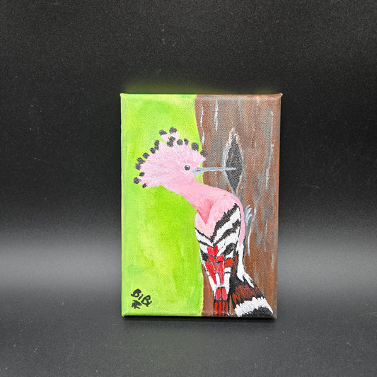 Pink Plumage - Pink wood pecker 5x7 - FG016