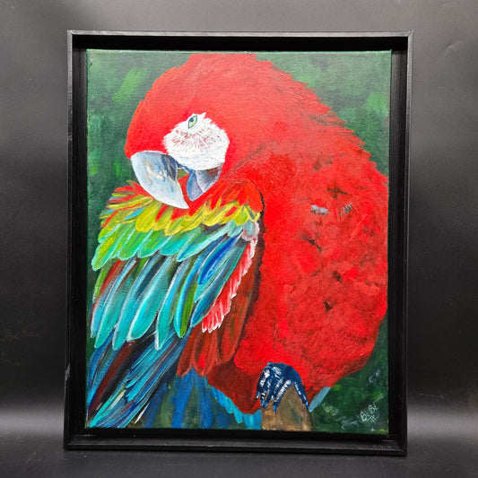 Macaw oil on canvas- FG006