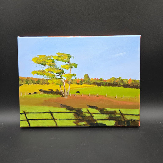 county road 496 - 9X12 acrylic A tree and field down the street from my house. this was painted in plein Air - CN041