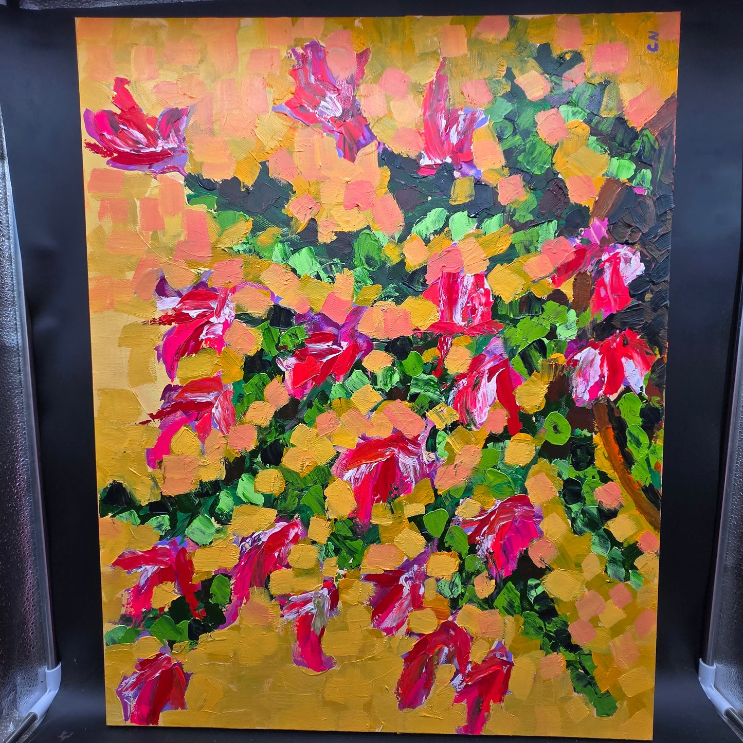 Christmas cactus - 24X30 acrylic A painting of my Christmas cactus in bloom - CN047