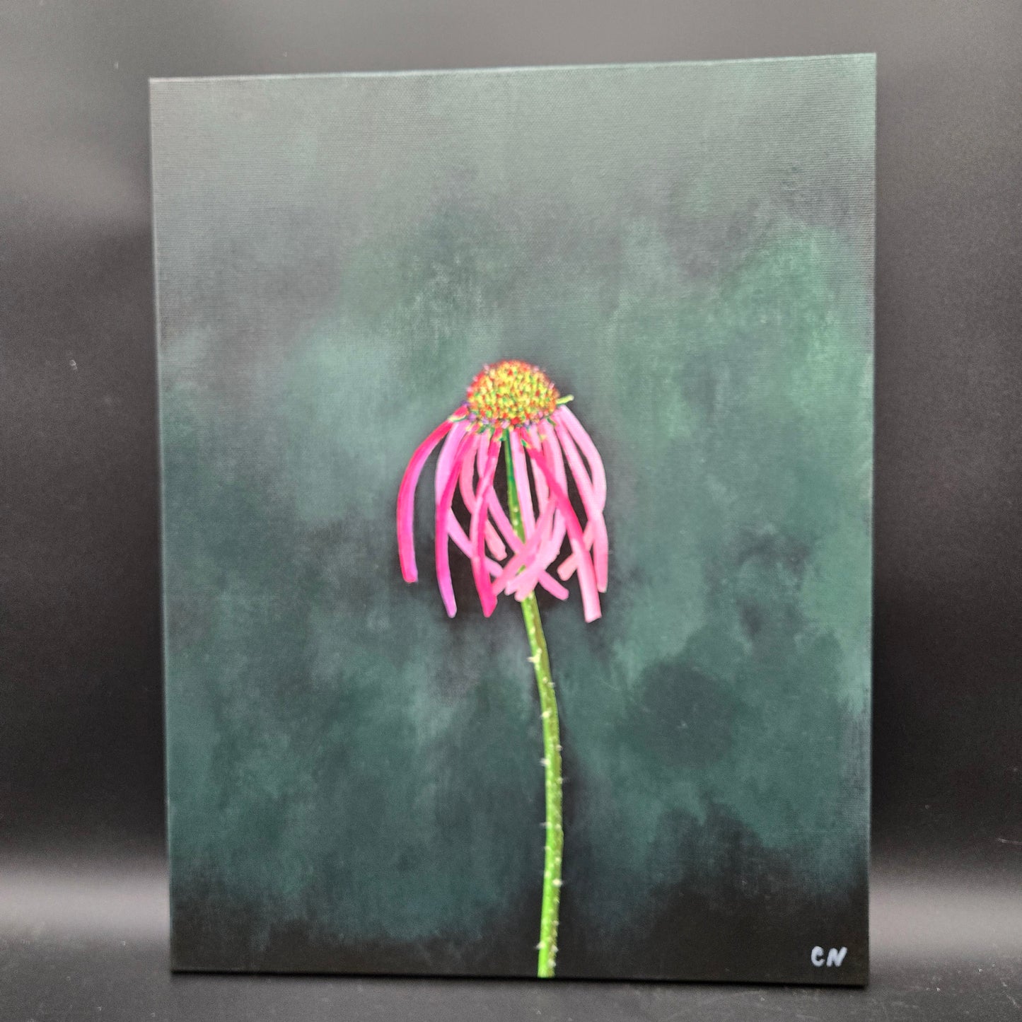 Cone Flower - 14X18 acrylic I love negative space in paintings and the simple beauty showcasing just the flower - CN013