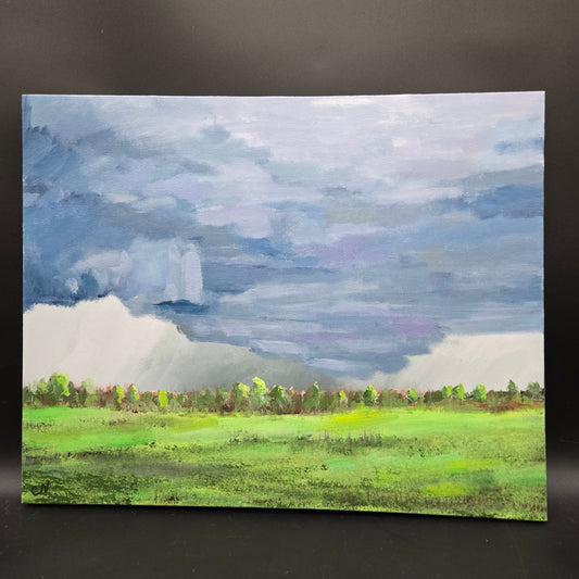 last of the light  - 16X20 acrylic landscape of storm clouds over a field - CN038